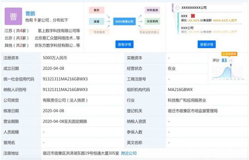 京東數科成立氫上數字科技，注冊資本5000萬元深耕信息技術咨詢服務